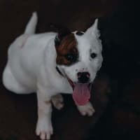 Photo of George