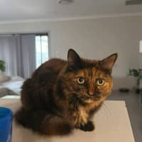 Photo of Kleo