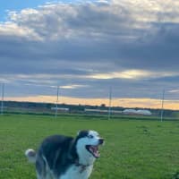 Photo of Athena