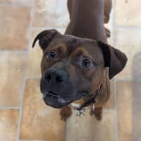Photo of Roo