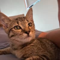 Photo of Dotty
