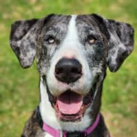 Photo of 🎭 Wednesday 6534 🎭