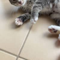 Photo of Maya