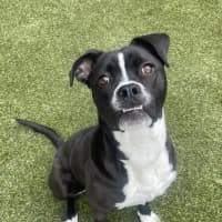 Photo of Rubie  Jane