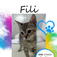 Photo of Fili