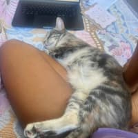 Photo of Valyria Emmie