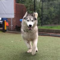 Photo of Miya