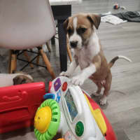 Photo of Lady Rainicorn