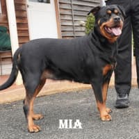 Photo of Mia