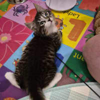 Photo of Casimir 💙