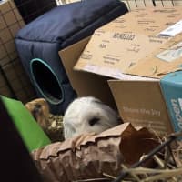 Photo of Peter & Pascal