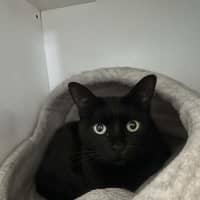 Photo of Cleopatra
