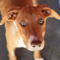 Photo of Matilda