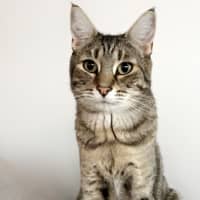 Photo of Lexi