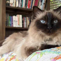 Photo of Kiki