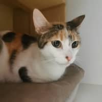 Photo of Molly