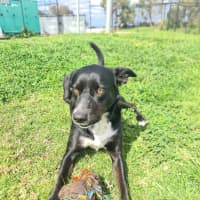 Photo of Buddy