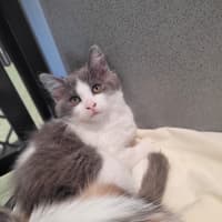 Photo of Mei
