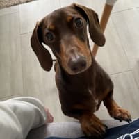 Photo of Douglas (Dougie)
