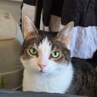 Photo of Molly / Milly