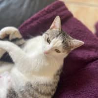 Photo of Keeva