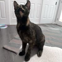 Photo of Harriett