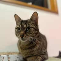 Photo of Lola And Annie