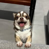 Photo of Ruby & Cinnamon