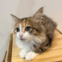 Photo of Angela Anaconda