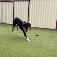 Photo of Yuki