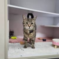 Photo of Eggnogatha Christie