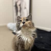 Photo of Hazel