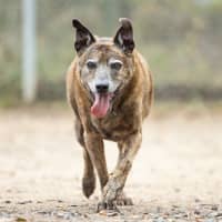 Photo of Max