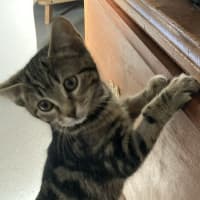 Photo of Noe’l
