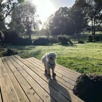 Photo of Arkie