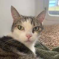 Photo of Daisy
