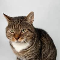 Photo of Tom