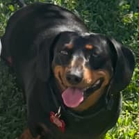 Photo of Bonni