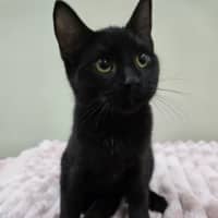 Photo of Bert