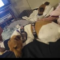 Photo of Leyla And Bender