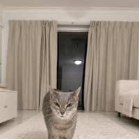 Photo of Olivia