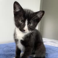 Photo of Manny