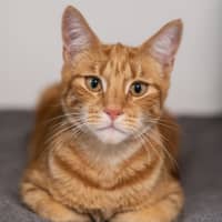 Photo of Byron 