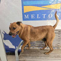 Photo of Thunderstruck