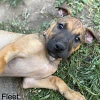 Photo of 🏘️ English Streets Litter (Part 1) 🏘️