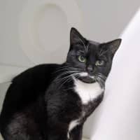 Photo of 🎀Brigita 6395 🎀