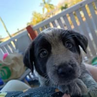Photo of Bronx