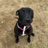 Photo of Tohru Imp 3013