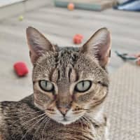 Photo of Sarah