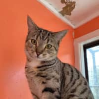 Photo of Nora